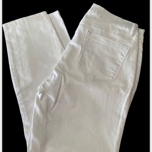 Cache shimmer size 10 pants
